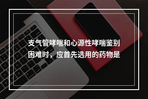 支气管哮喘和心源性哮喘鉴别困难时，应首先选用的药物是