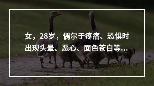 女，28岁，偶尔于疼痛、恐惧时出现头晕、恶心、面色苍白等，几