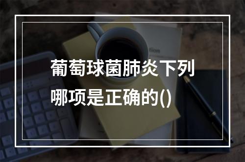 葡萄球菌肺炎下列哪项是正确的()