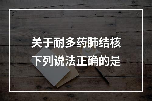 关于耐多药肺结核下列说法正确的是