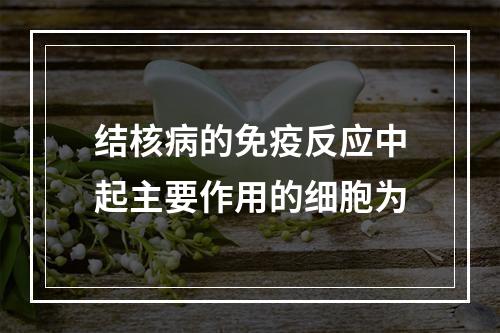 结核病的免疫反应中起主要作用的细胞为