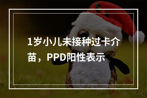 1岁小儿未接种过卡介苗，PPD阳性表示