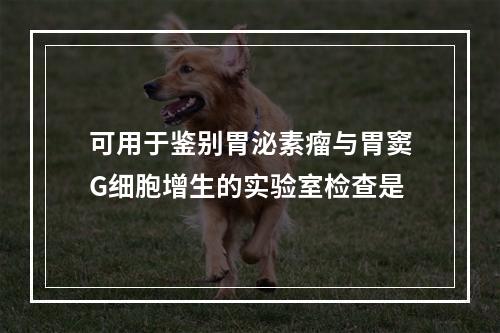 可用于鉴别胃泌素瘤与胃窦G细胞增生的实验室检查是