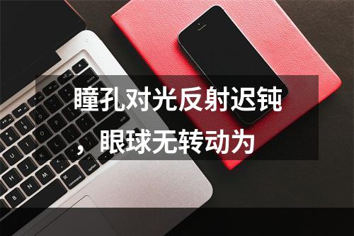 瞳孔对光反射迟钝，眼球无转动为