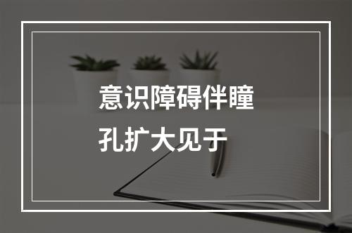 意识障碍伴瞳孔扩大见于