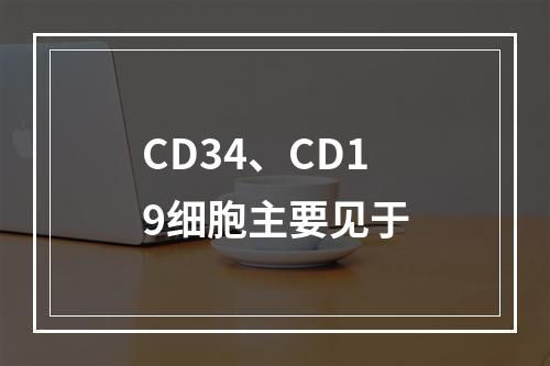 CD34、CD19细胞主要见于