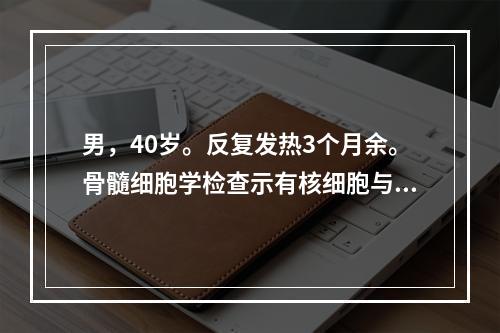 男，40岁。反复发热3个月余。骨髓细胞学检查示有核细胞与成熟