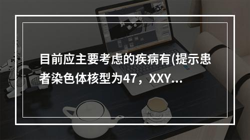 目前应主要考虑的疾病有(提示患者染色体核型为47，XXY。)