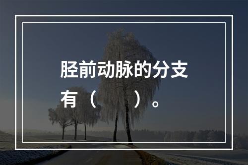 胫前动脉的分支有（　　）。