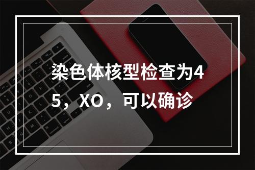 染色体核型检查为45，XO，可以确诊