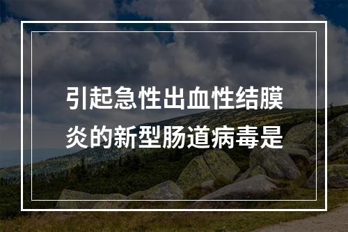 引起急性出血性结膜炎的新型肠道病毒是