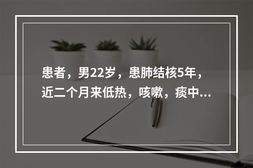 患者，男22岁，患肺结核5年，近二个月来低热，咳嗽，痰中带血