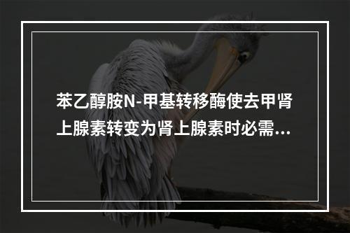 苯乙醇胺N-甲基转移酶使去甲肾上腺素转变为肾上腺素时必需有下