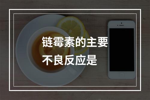 链霉素的主要不良反应是