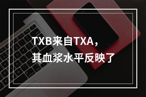 TXB来自TXA，其血浆水平反映了