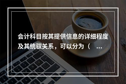 会计科目按其提供信息的详细程度及其统驭关系，可以分为（　　）