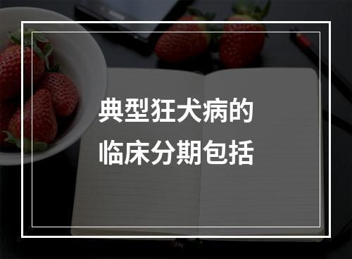 典型狂犬病的临床分期包括