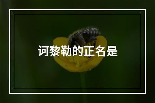 诃黎勒的正名是