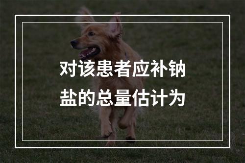 对该患者应补钠盐的总量估计为