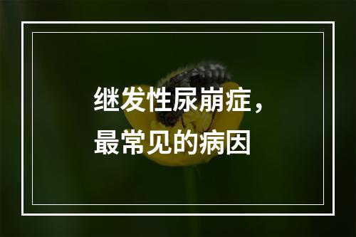 继发性尿崩症，最常见的病因