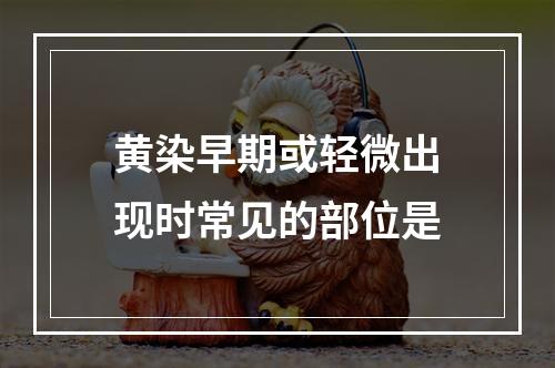 黄染早期或轻微出现时常见的部位是