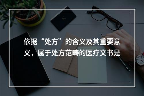 依据“处方”的含义及其重要意义，属于处方范畴的医疗文书是