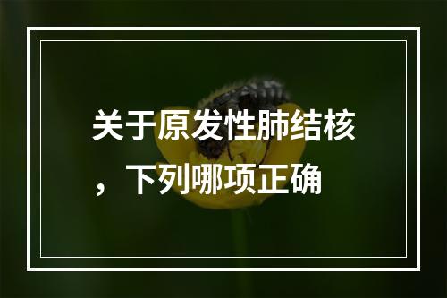 关于原发性肺结核，下列哪项正确