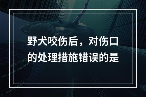 野犬咬伤后，对伤口的处理措施错误的是