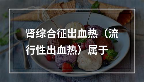 肾综合征出血热（流行性出血热）属于