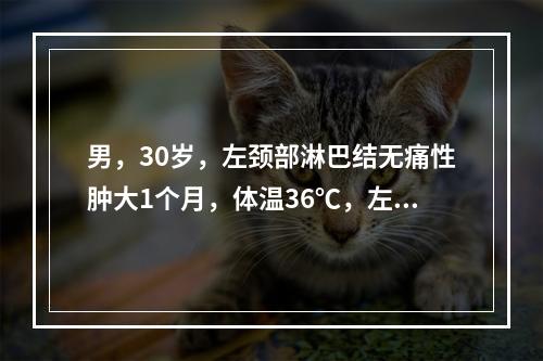 男，30岁，左颈部淋巴结无痛性肿大1个月，体温36℃，左颈后