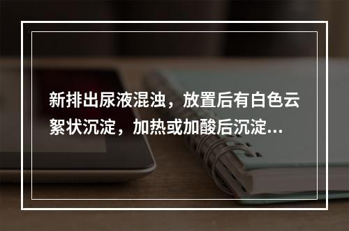 新排出尿液混浊，放置后有白色云絮状沉淀，加热或加酸后沉淀不消