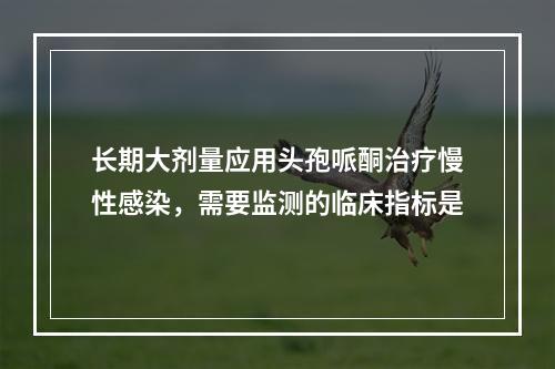 长期大剂量应用头孢哌酮治疗慢性感染，需要监测的临床指标是