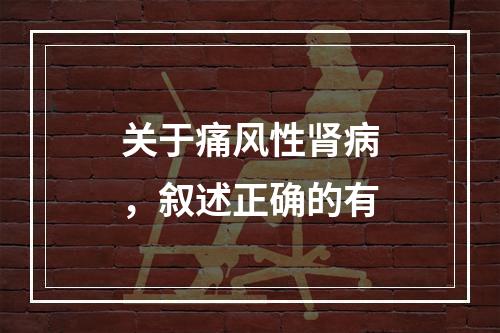 关于痛风性肾病，叙述正确的有