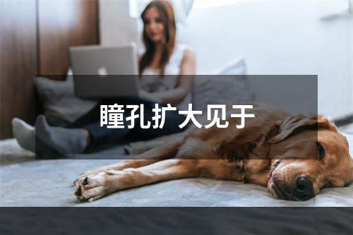 瞳孔扩大见于