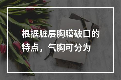 根据脏层胸膜破口的特点，气胸可分为