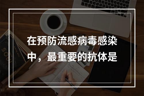 在预防流感病毒感染中，最重要的抗体是