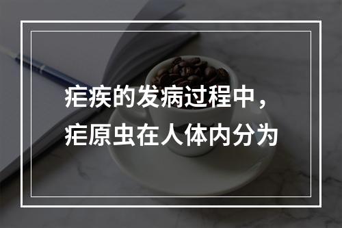 疟疾的发病过程中，疟原虫在人体内分为