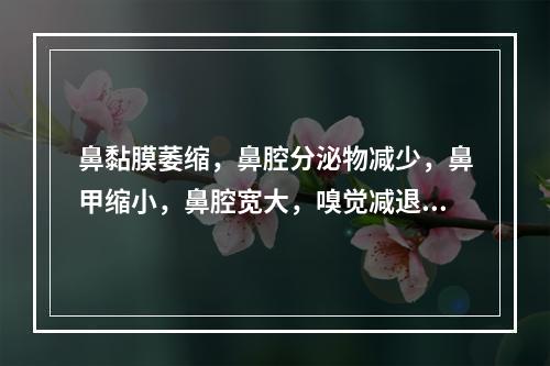 鼻黏膜萎缩，鼻腔分泌物减少，鼻甲缩小，鼻腔宽大，嗅觉减退或丧