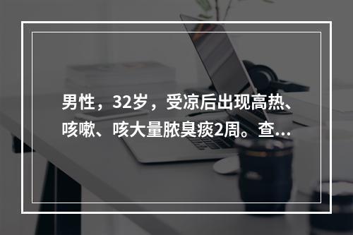 男性，32岁，受凉后出现高热、咳嗽、咳大量脓臭痰2周。查体：