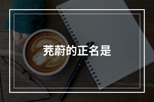 茺蔚的正名是