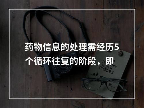 药物信息的处理需经历5个循环往复的阶段，即