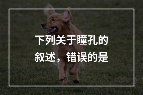 下列关于瞳孔的叙述，错误的是