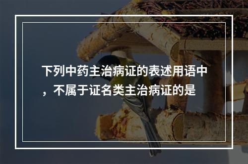 下列中药主治病证的表述用语中，不属于证名类主治病证的是