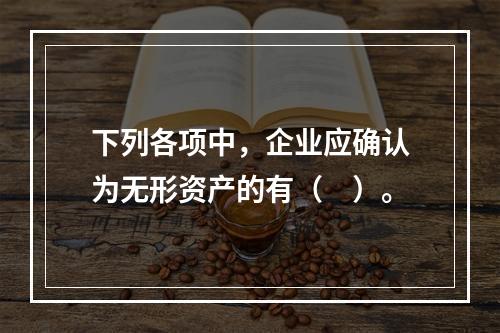 下列各项中，企业应确认为无形资产的有（　）。