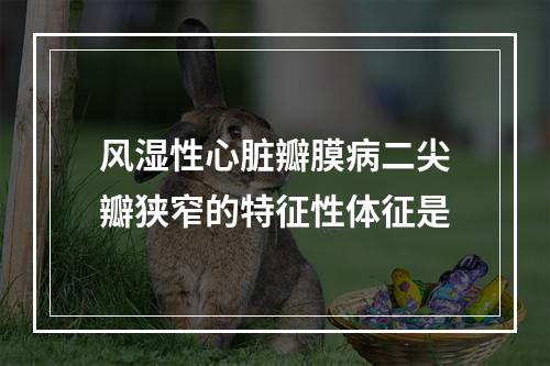 风湿性心脏瓣膜病二尖瓣狭窄的特征性体征是