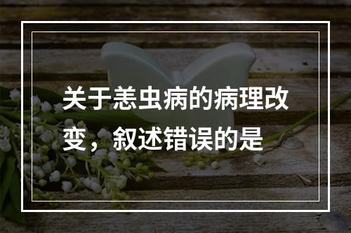 关于恙虫病的病理改变，叙述错误的是