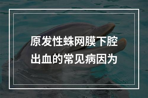 原发性蛛网膜下腔出血的常见病因为