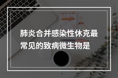 肺炎合并感染性休克最常见的致病微生物是