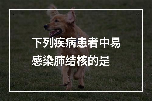 下列疾病患者中易感染肺结核的是