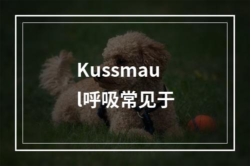 Kussmaul呼吸常见于